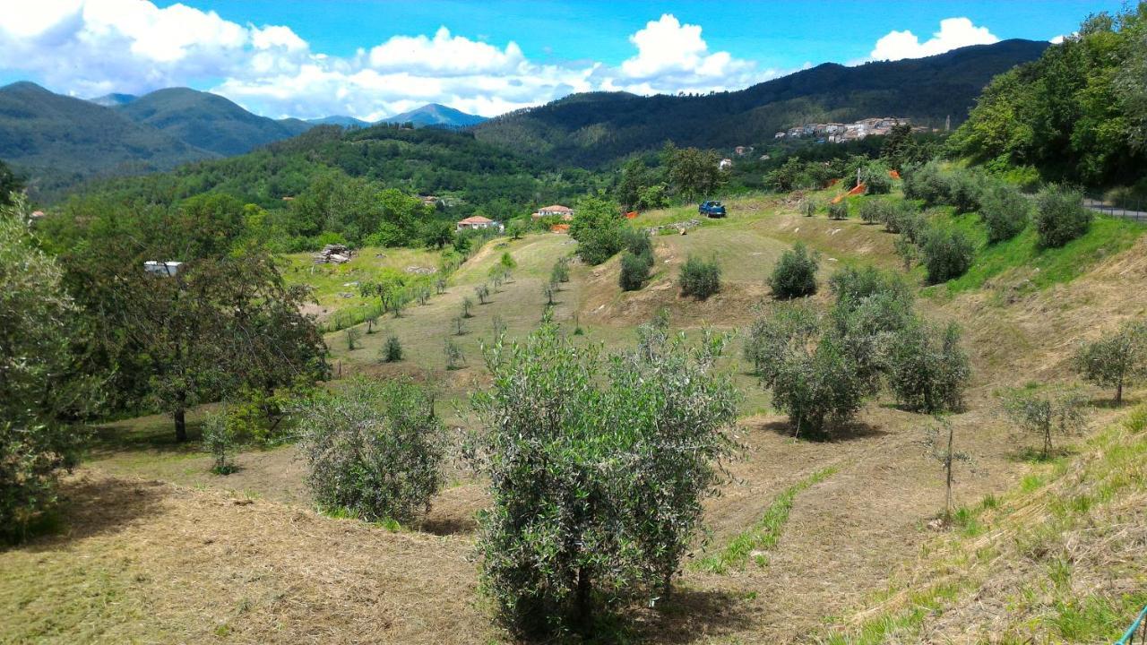 Agriturismo Tenuta Valletti. Sesta Godano المظهر الخارجي الصورة